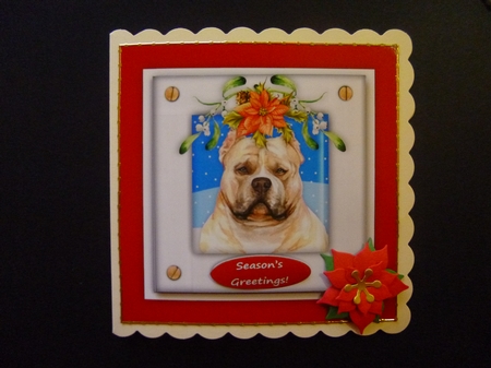 Christmas Puppy Dog (5) 6 x 6 Card Topper With Masses Of Greetings Tags by Jayne Jones
