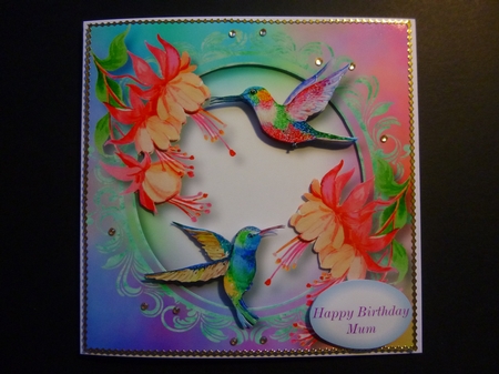 Beautiful Humming Birds Bumper Kit by Jayne Jones