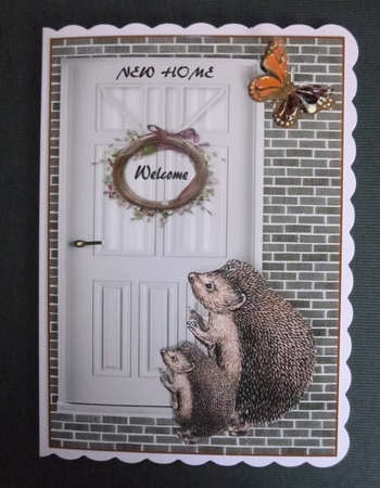 Hedgie New Home by Jayne Jones