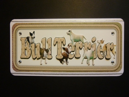 Bull Terrier Name Sign 3D by Jayne Jones