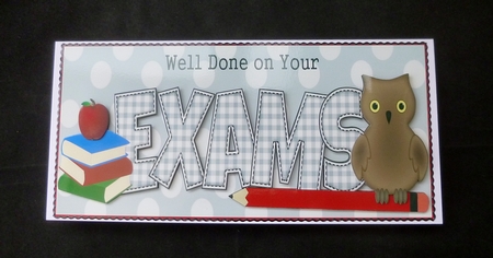 Wise Owl Exams Large Dl by Jayne Jones