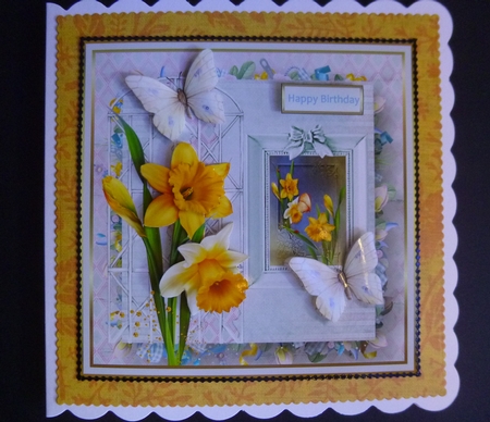 Daffodils and butterfly by Jayne Jones