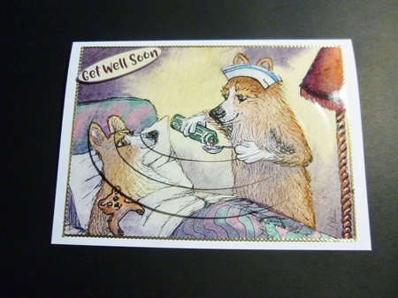 Corgi dog nurse and patient, oval pyramage by Jayne Jones