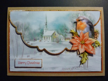 Robin and poinsettia by Jayne Jones