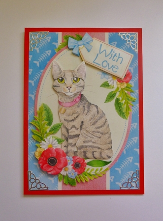Bengal Cat  by Jayne Jones