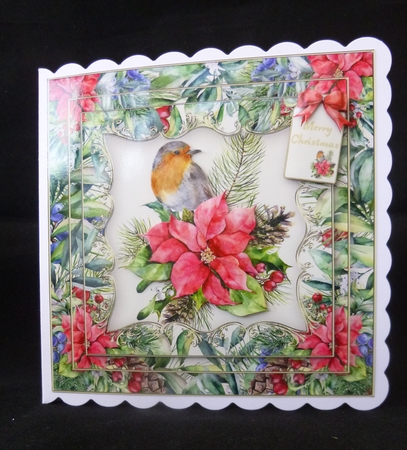 Framed Robin Mini Kit by Jayne Jones