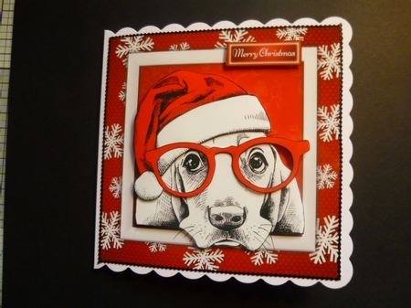 Gorgeous White Waiting Dog  8x8 Mini Kit by Jayne Jones