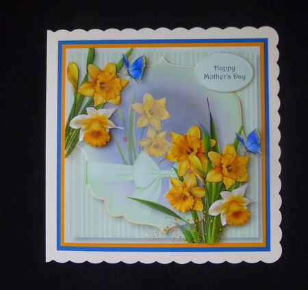 Daffodils Beauty by Jayne Jones
