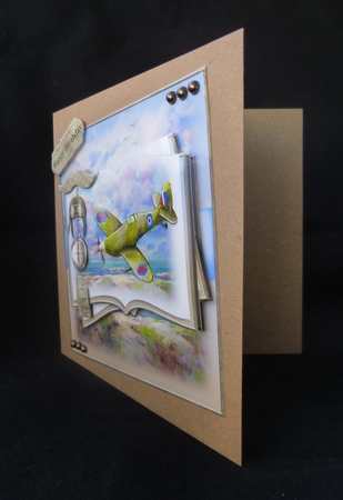 Time Flies Open Book  by Jayne Jones