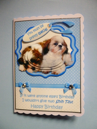 Pretty special birthday wishes blue mini kit by Jayne Jones