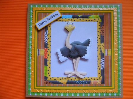 Ostrich at the zoo by Jayne Jones