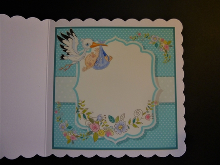 Baby boy delivery insert by Jayne Jones