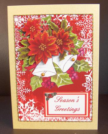 Poinsettias and Snowflakes by Jayne Jones