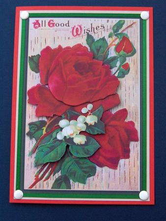 A Rose by Any Other Name by Jayne Jones