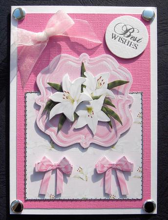 Over the Top Pink Beauty by Jayne Jones