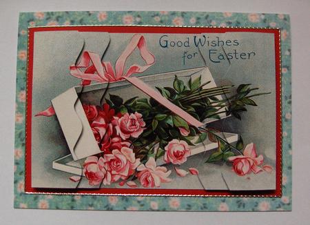 Boxed Roses for Easter by Jayne Jones