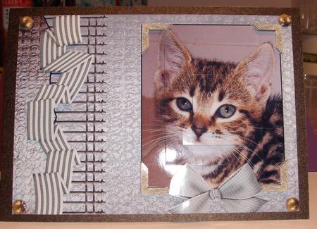Pretty as a Picture Cat Card by Jayne Jones