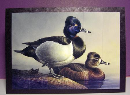 Wild Ducks Side Stacker by Jayne Jones