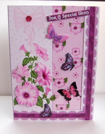 Long Windows Patunias by Jayne Jones