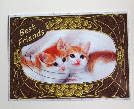 'paisley Embossed' Backing Paper by Jayne Jones