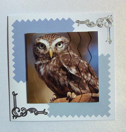 Little Owl Square Wavy Side Stacker by Jayne Jones