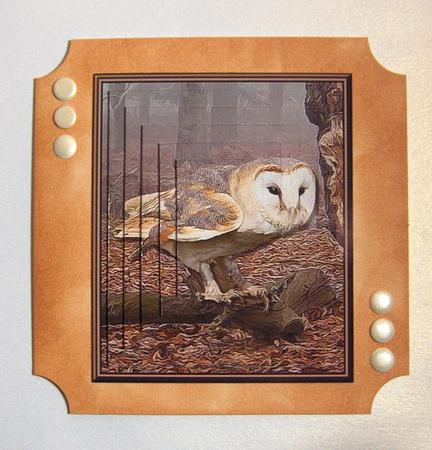 Barn Owl Woodland Scene Pyramid by Jayne Jones