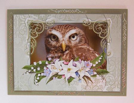Little Owl Wavy Side Stacker Card by Jayne Jones