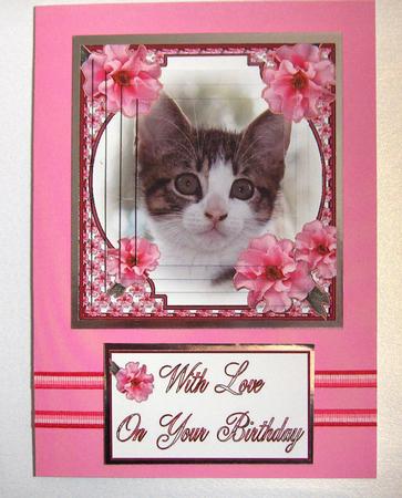 Tabbu Kitten in Pink Flower Frame by Jayne Jones