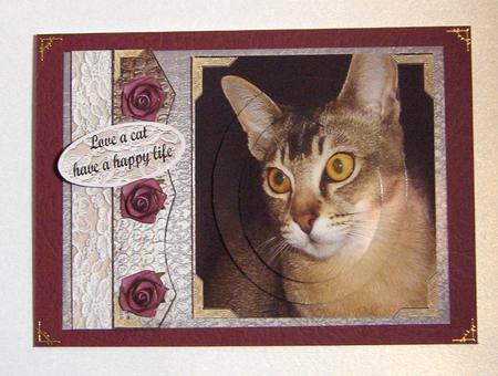 Cats Rule by Jayne Jones