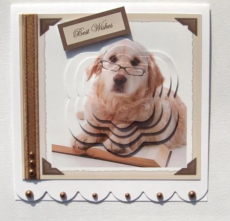 Dog Cute and Wise Card Front with Shaped Pyramid Layers by Jayne Jones