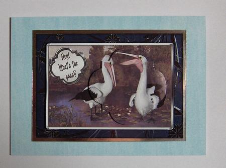 Birds of a Feather - Pelicans - What's the Goss? by Jayne Jones