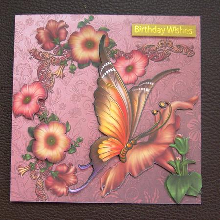 Butterfly Summer by Jayne Jones