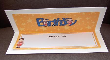 Bazil's Football Birthday Large Dl Matching Large Dl Insert by Jayne Jones