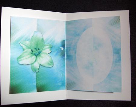Lily 2 by Jayne Jones