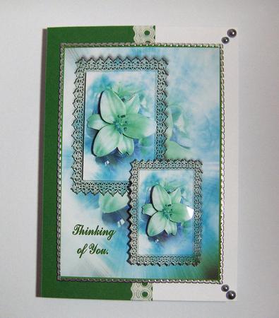 Thinking of You Lily by Jayne Jones