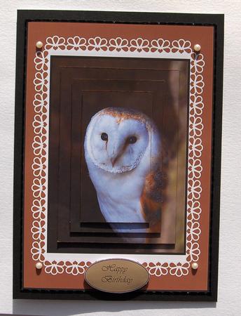 Owl Pyramage by Jayne Jones