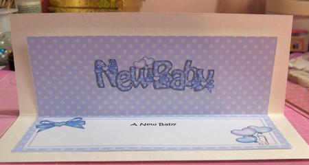 New Baby Matching Large Dl Insert by Jayne Jones