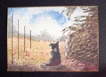 Border Collie Dog Meditating on Summer Meadow Pyramage by Jayne Jones