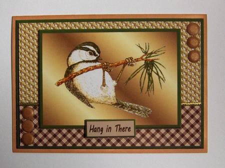 Hang in There - Little Bird A4 by Jayne Jones