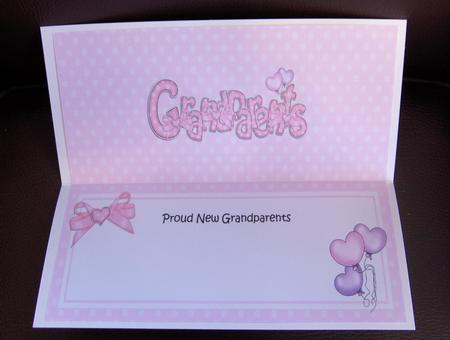 New Baby Grandparents Matching Large Dl Insert by Jayne Jones