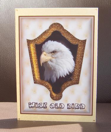 Wise Old Bird - Gold - Fancy Shaped Pyramid by Jayne Jones