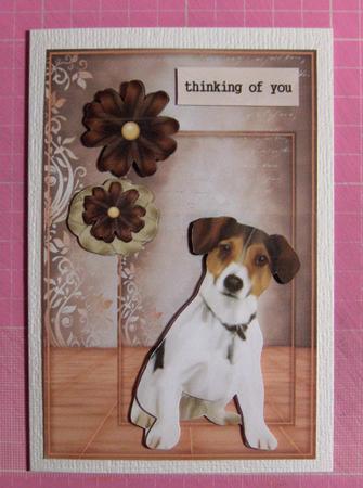 Belated Birthday/other /jack Russel by Jayne Jones