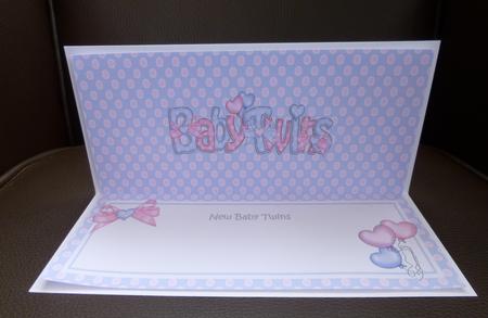 New Baby Twins Matching Large Dl Insert by Jayne Jones