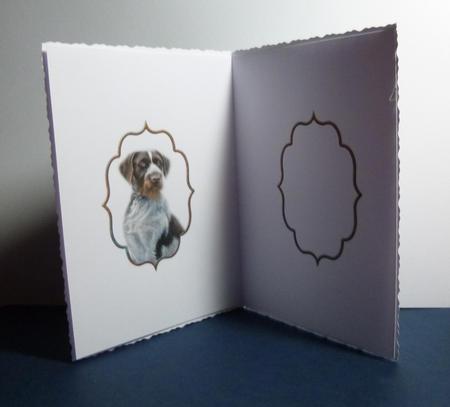 Hound Dog Birthday Wishes Insert by Jayne Jones