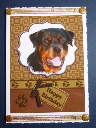 Rottweiler Doggy Birthday Wishes by Jayne Jones