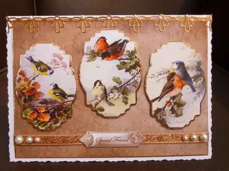 Birds of a Feather Together Panel Card with Toppers by Jayne Jones