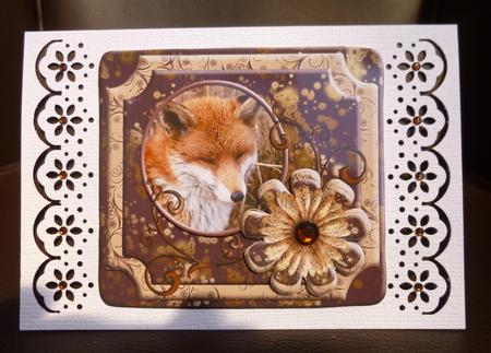 I'm Sorry Belated Birthday Fox Square Topper by Jayne Jones
