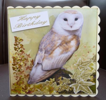 Barnowl Step by Step by Jayne Jones