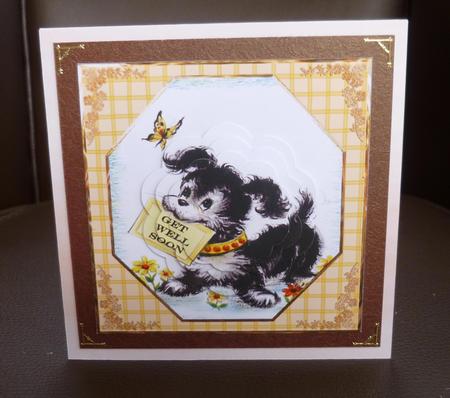 Doggy Get Well Greetings Card Front with Petal Pyramid by Jayne Jones
