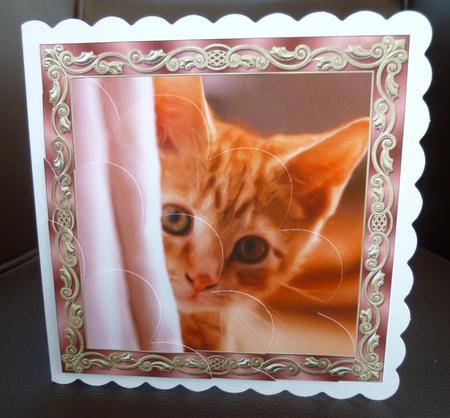Curious Kitten Painting Shell Edged Corner Stacker by Jayne Jones